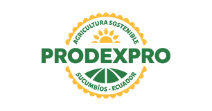 Prodexpro